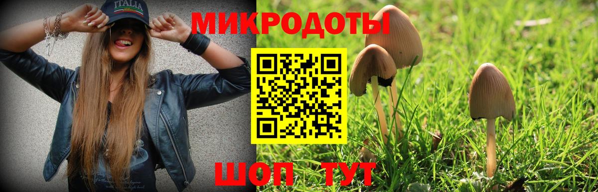 Псилоцибиновые грибы Magic Shrooms  Вход с VPN  купить   Ефремов  Галлюциногенные грибы Psilocybe 