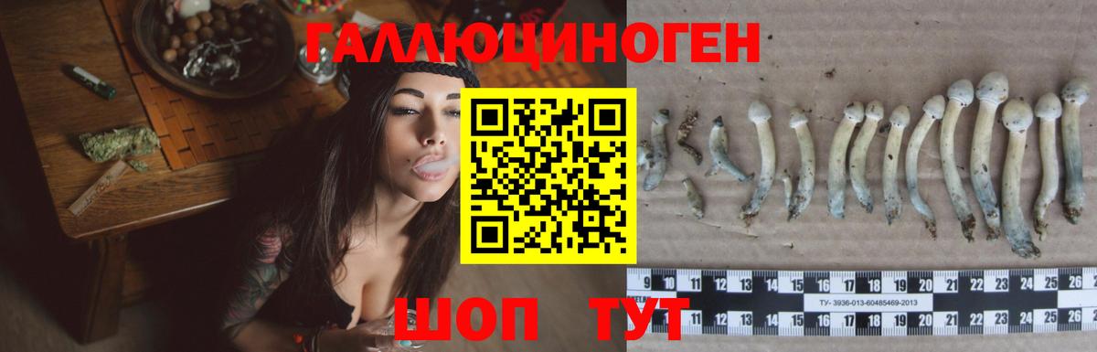 Галлюциногенные грибы ЛСД Ефремов
